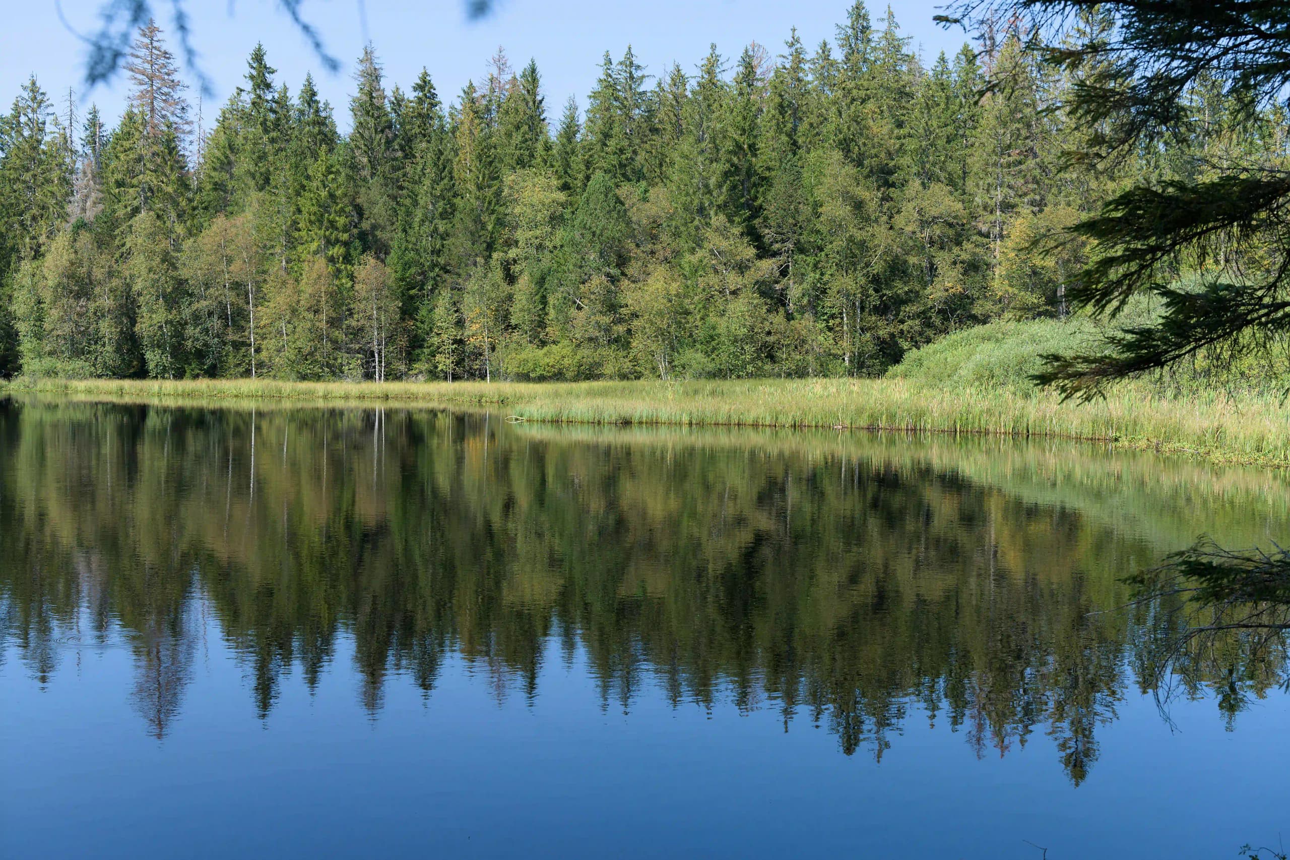Camping in Schleswig-Holstein
