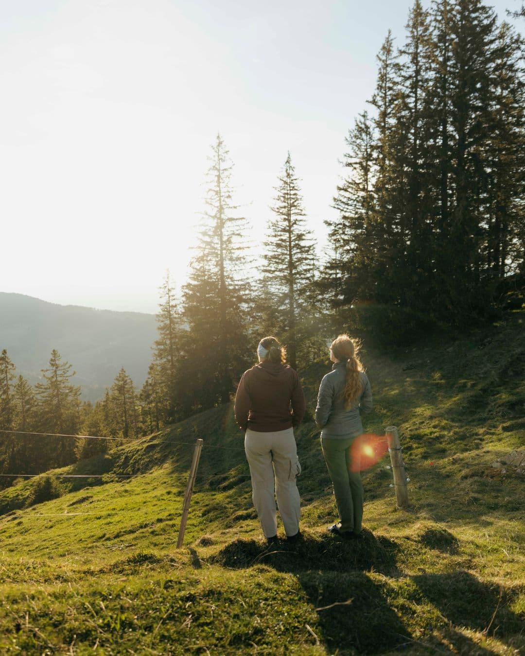 Wandern
